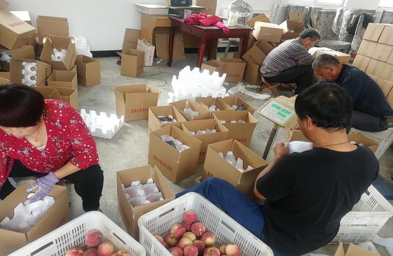 电商新时代：海阳电子商务服务的发展与前景